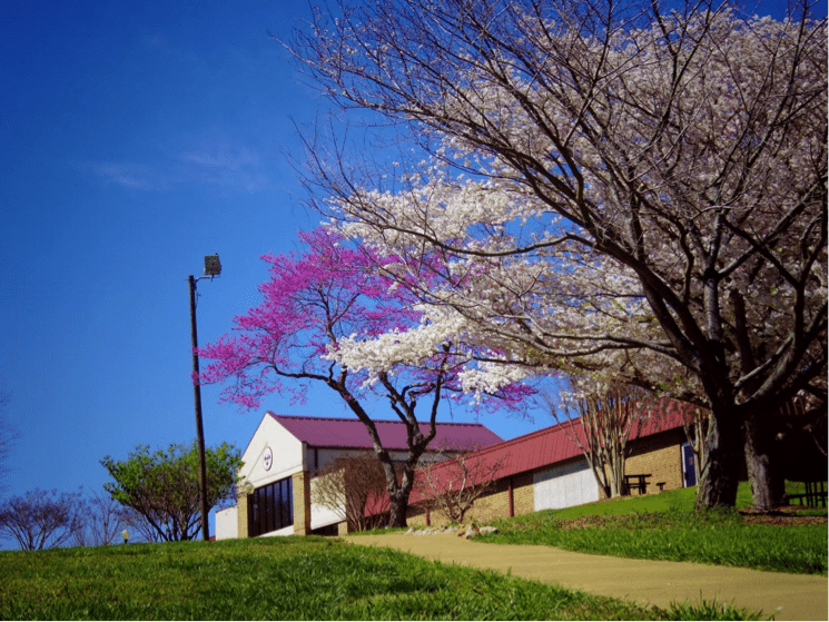 Sherman's beautiful campus is located at the foothills of the Blue Ridge Mountains in Spartanburg.