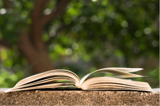 Green Books and Your Chiropractic Career