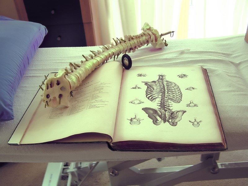 Top Chiropractic Education Stands Out