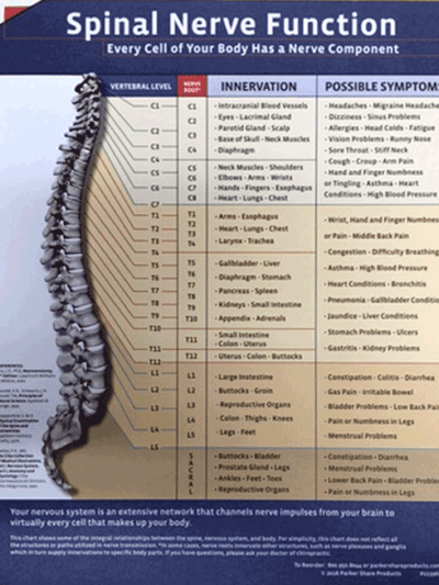 Spinal Nerve Function Pad