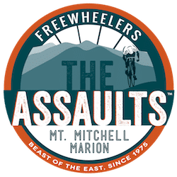 The Assaults Logo