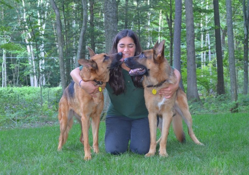 Animal Chiropractic