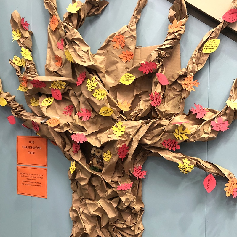 ThanksGiving Tree in Sherman College Health Center